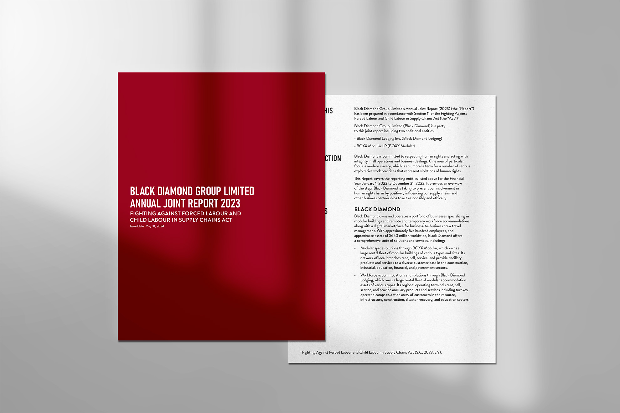 Modern Anti-Slavery Report Modern Anti-Slavery Report